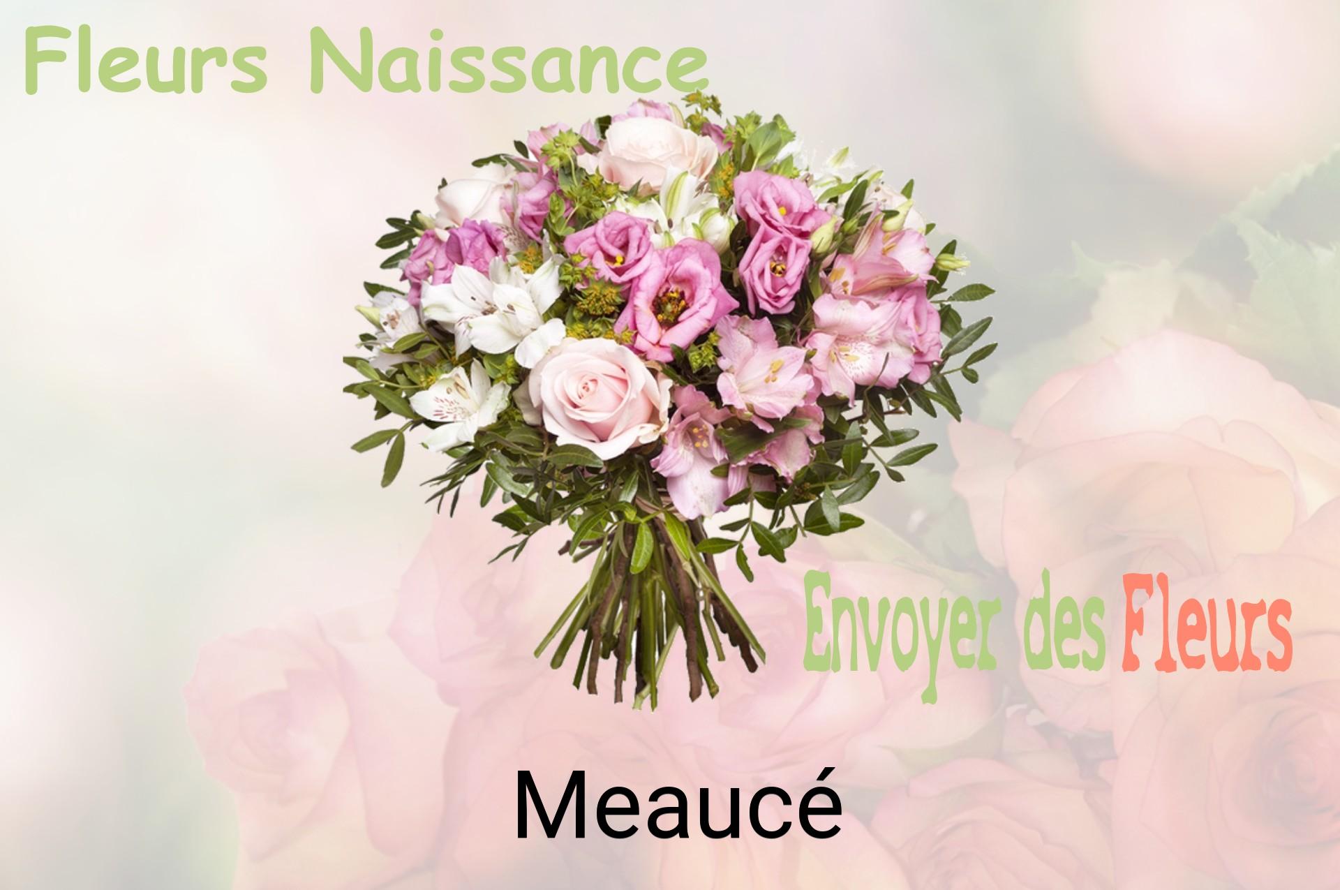 Bouquet de fleurs de naissance livré à Meaucé