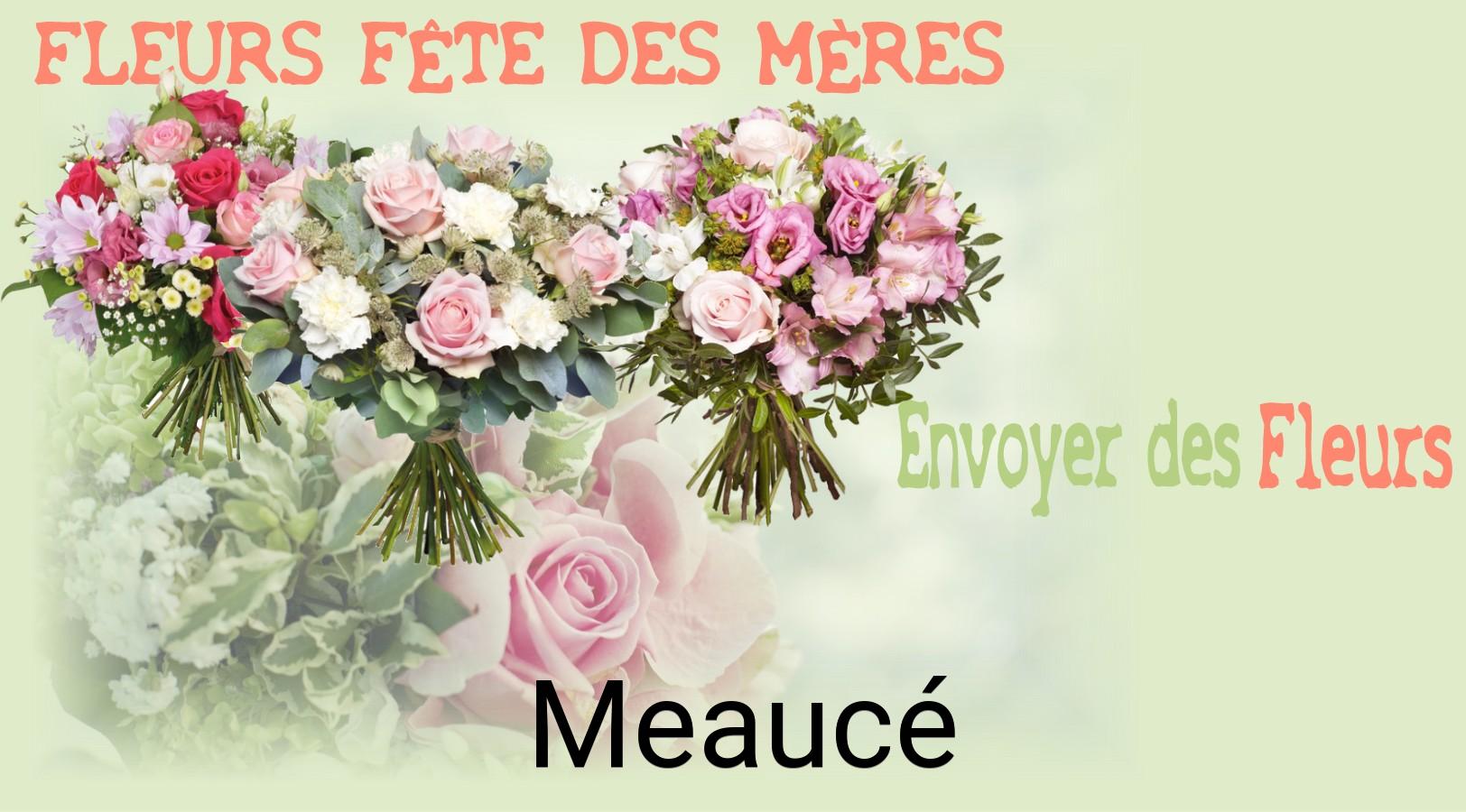 Bouquet de Fête des Mères livré à Meaucé